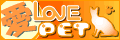 �A�C���u�y�b�g